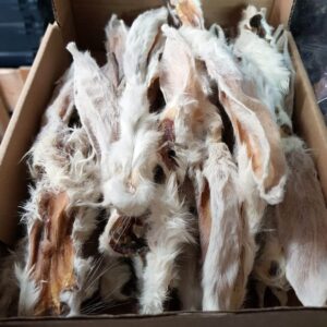 Kauartikel/Spezialitäten